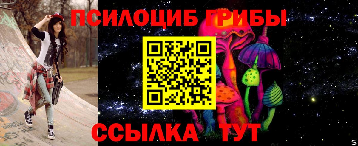 Тихорецк  Галлюциногенные грибы Psilocybine cubensis  Вход с VPN 