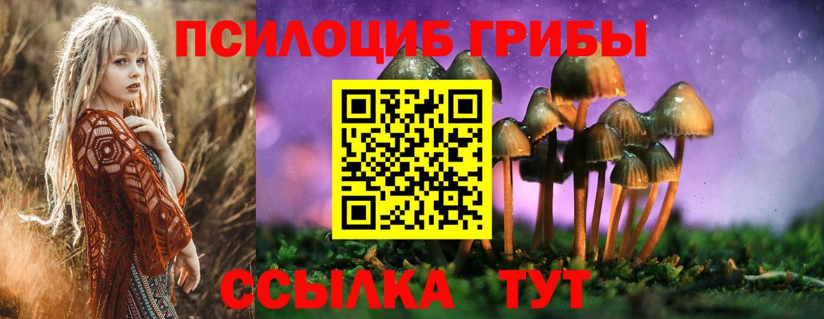 Галлюциногенные грибы Psilocybine cubensis Тихорецк